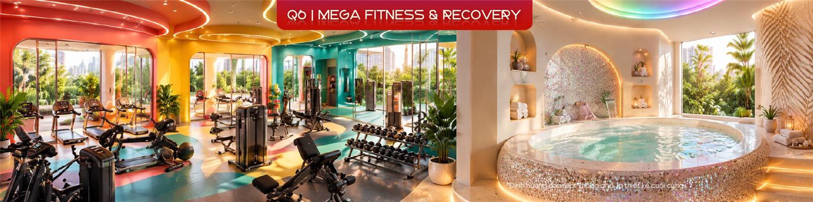 Q6 Mega Fitness & Recovery